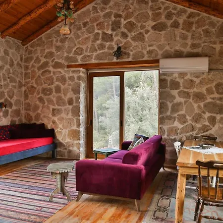 Chalet Stone House Olympos