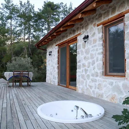 Chalet Stone House