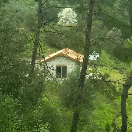 Chalet Stone House *