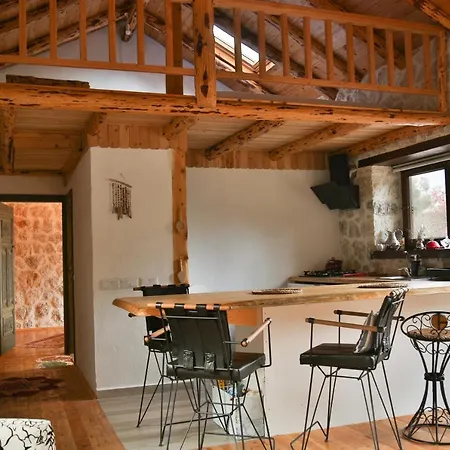 Chalet Stone House