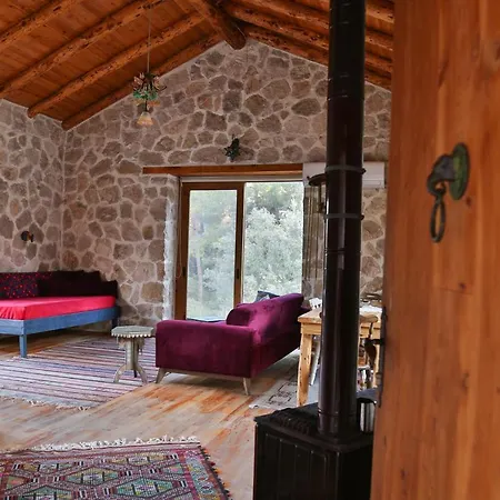 Chalet Stone House