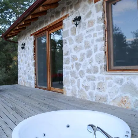 Chalet Stone House *