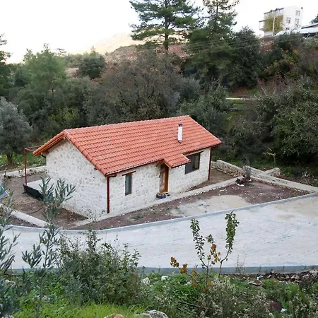Chalet Stone House